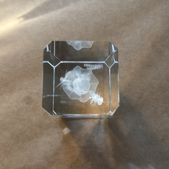 Encased Etched Glass Frog and Dragonfly Crystal w/glass base - Picture 5 of 9